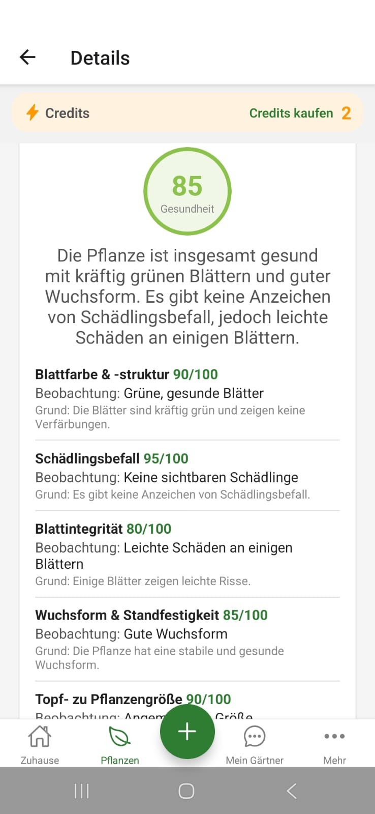 FloraScout Gesundheitscheck mit Score und Begründungen