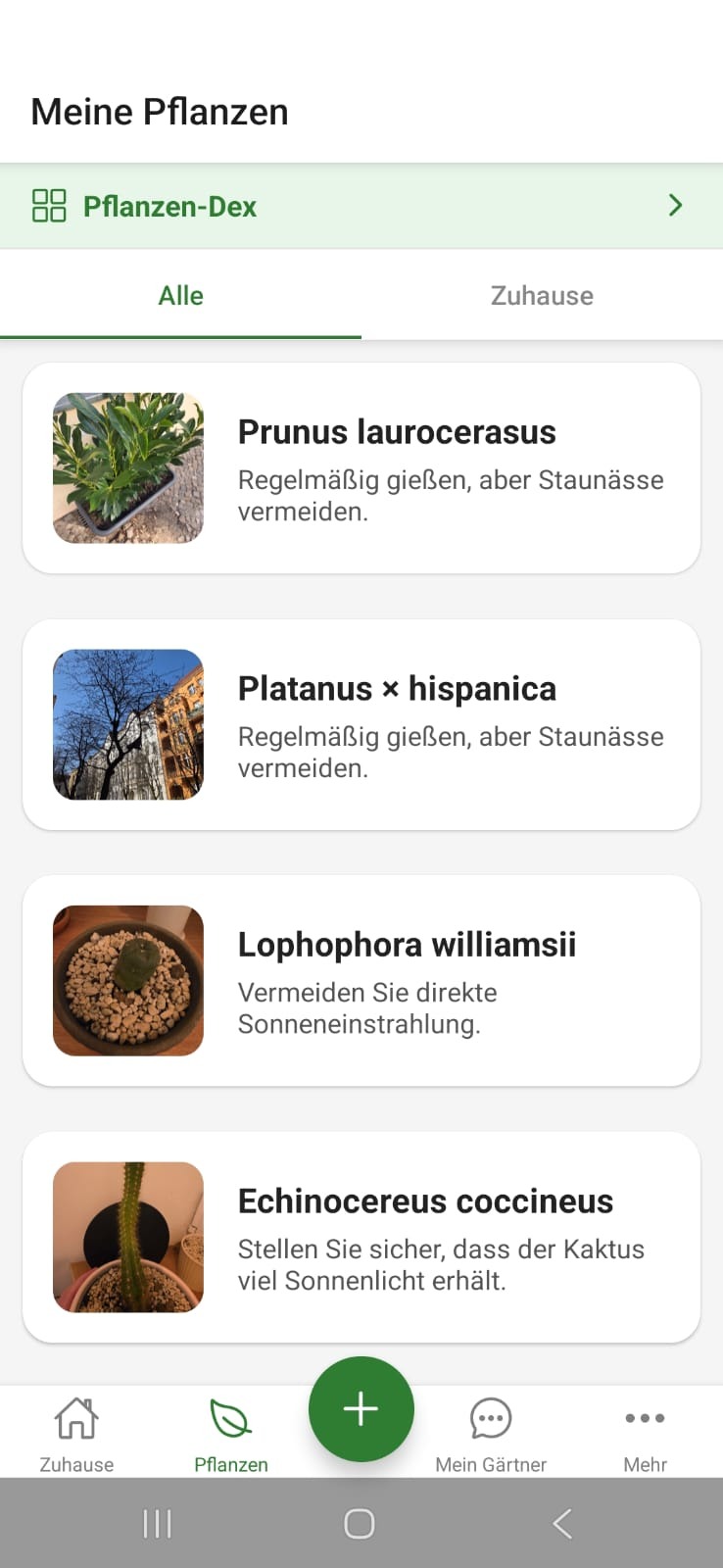 FloraScout Liste Meine Pflanzen mit Pflegehinweisen